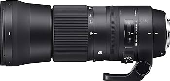 Amazon.co.jp: Sigma 150-600mm F5-6.3 DG OS HSM | C : Electronics