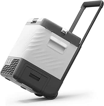 614GvfrrJ6L._AC_UF350,