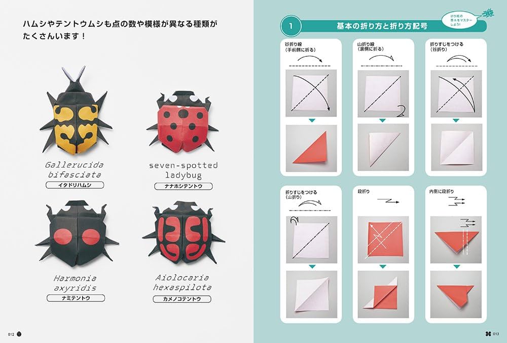 Amazon.co.jp: 切らずに1枚で折る 折り紙昆虫記 : フチモト ムネジ