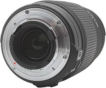 Amazon.com : Sigma 70-300mm F/4-5.6 DG OS SLD Super Multi-Layer