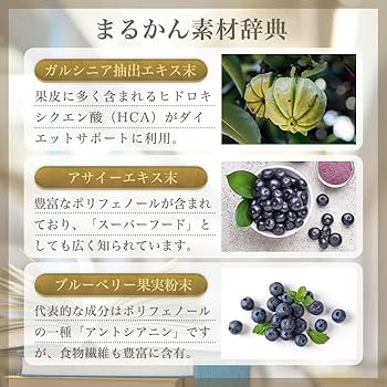 Amazon.co.jp: 銀座まるかん ガリガリどろん 5.5g×93包入 粉末 栄養