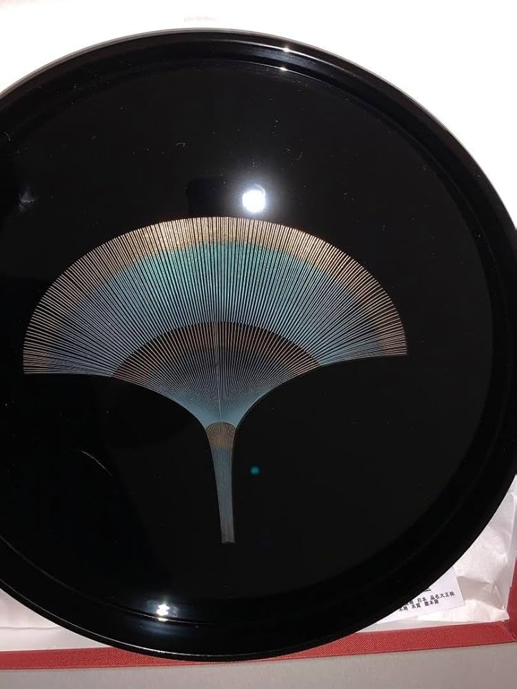 Amazon.co.jp: 最高級 輪島塗 うさぎ屋 大正松 本漆器お盆 : ホーム