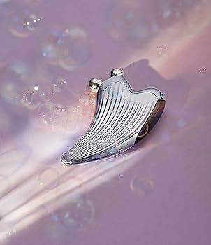 Amazon.co.jp: ReFa(リファ) ReFa CAXA RAY 単品 126グラム (x 1