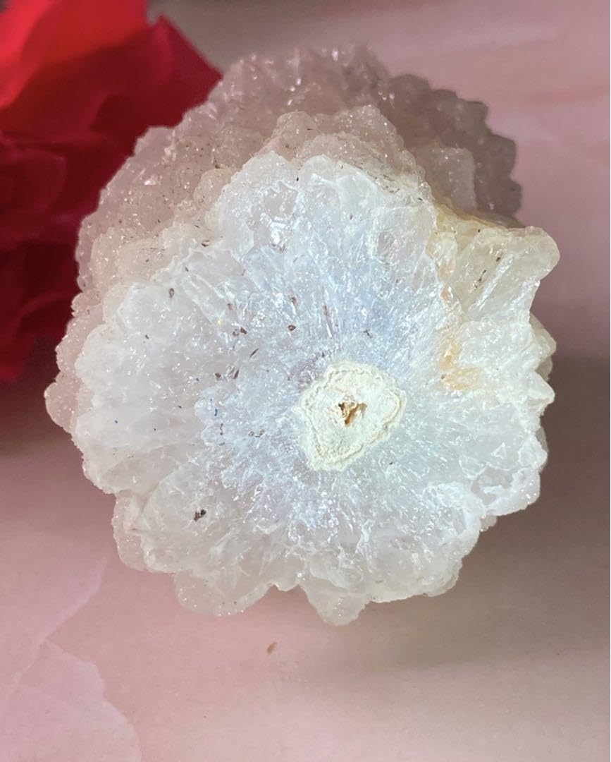 Amazon.co.jp: サボテン水晶 インド マハーラーシュトラ州 クリスタル