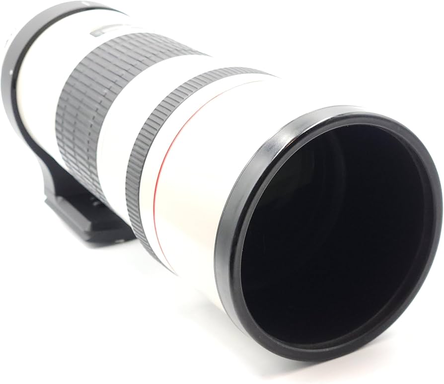 Amazon.com : Canon EF 300mm f/4L IS USM Telephoto Fixed Lens for