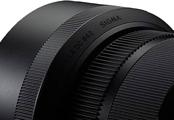 Amazon.com : Sigma 30mm F1.4 Art DC HSM Lens for Canon : Digital