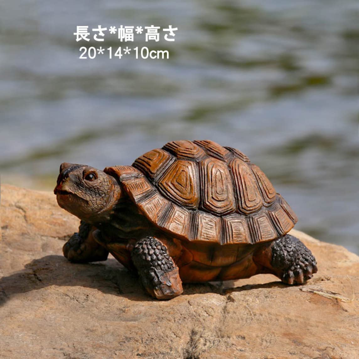 Amazon.co.jp: 亀の置物 かめ リアル カメ おきもの タートル 動物