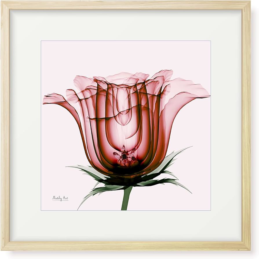 Amazon.co.jp: 絵画「赤いバラ」インテリア 絵 花 アートパネル 額入り