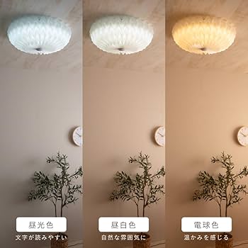 Amazon | VENTOTA LEDシーリングライト 調光調色 ~10畳 リモコン付