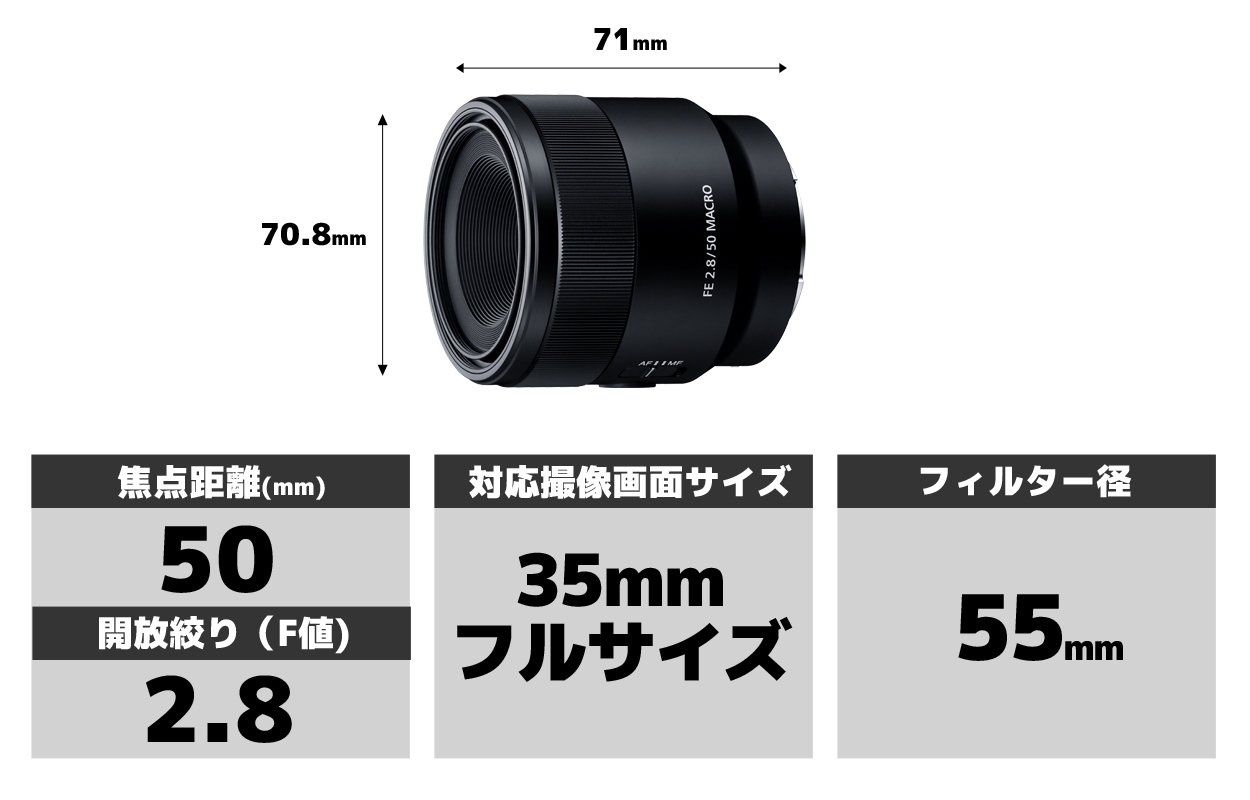 Amazon.co.jp: SONY(ソニー) マクロ フルサイズ FE 50mm F2.8 Macro