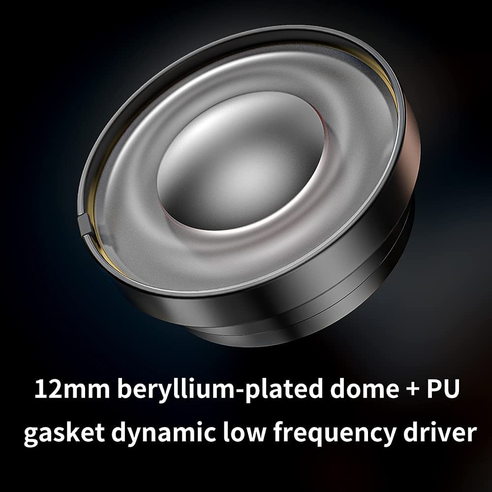 Amazon.co.jp: FIIO FH5s ハイブリッドインイヤーモニター - ブラック