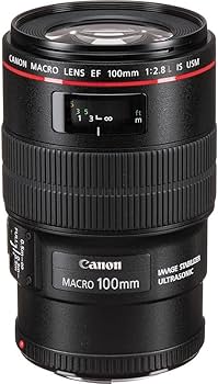 Amazon.com : Canon EF 100mm f/2.8L Macro is USM Lens (3554B002) +