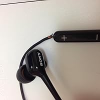 Amazon.co.jp: ソニー SONY イヤホン XBA-C10IP : カナル型 バランスド