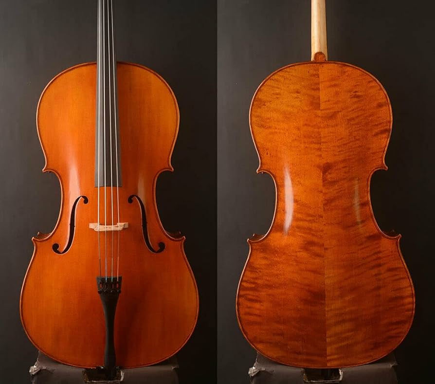 Amazon | artigiano&violin チェロ ストラディバリウスモデル 手工製