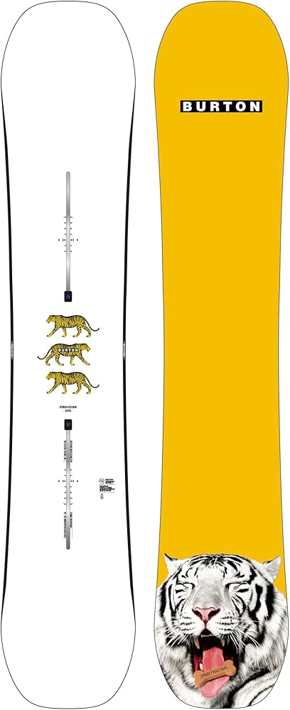 Amazon.com : Camber Process Board by Burton, Size 155 : Sports