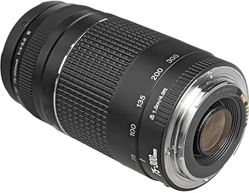 Amazon.com : Canon EF 75-300mm f/4-5.6 III Lens Bundled with 58mm