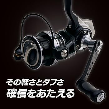 Amazon | AbuGarcia (アブガルシア) Roxani SP 2000SH ロキサーニ