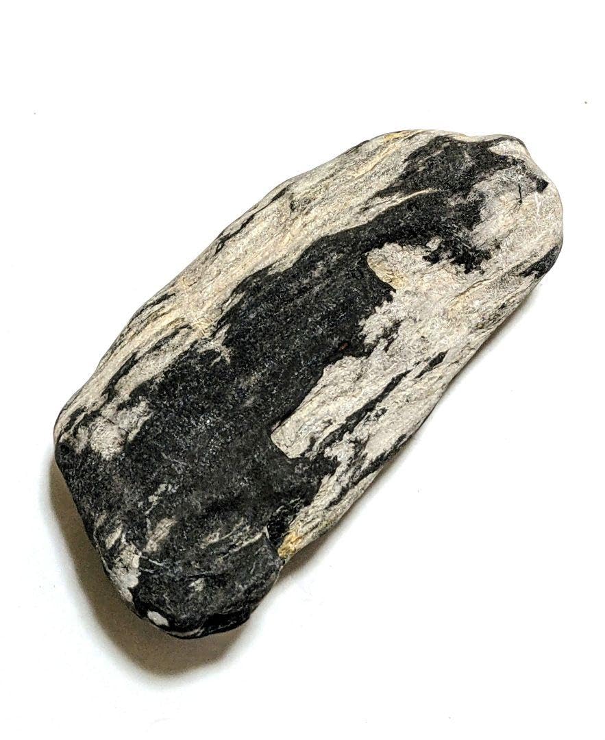 Amazon.co.jp: 青森県産 津軽錦石 珪化木 木化石 樹化石 原石 置石