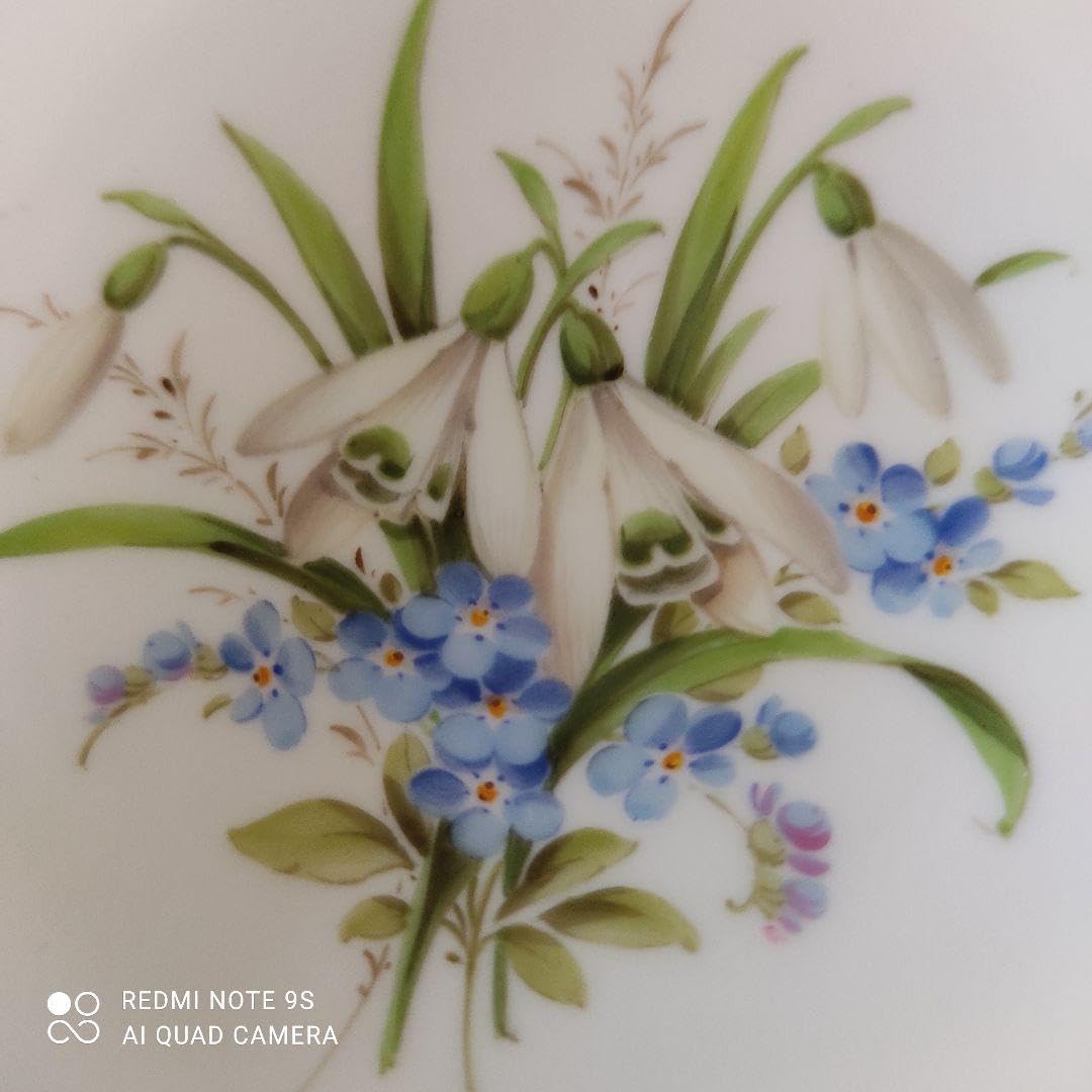 Amazon.co.jp: マイセン 壁掛けプレート 絵皿 ハナ№8 : ホーム＆キッチン