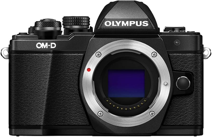 Amazon.com : OM SYSTEM Olympus OM-D E-M10 Mark II Mirrorless