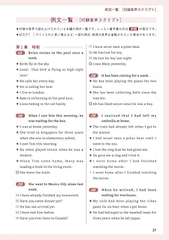 基礎徹底 そこが知りたい英文法プラス (駿台受験シリーズ) | 大澤 紀博