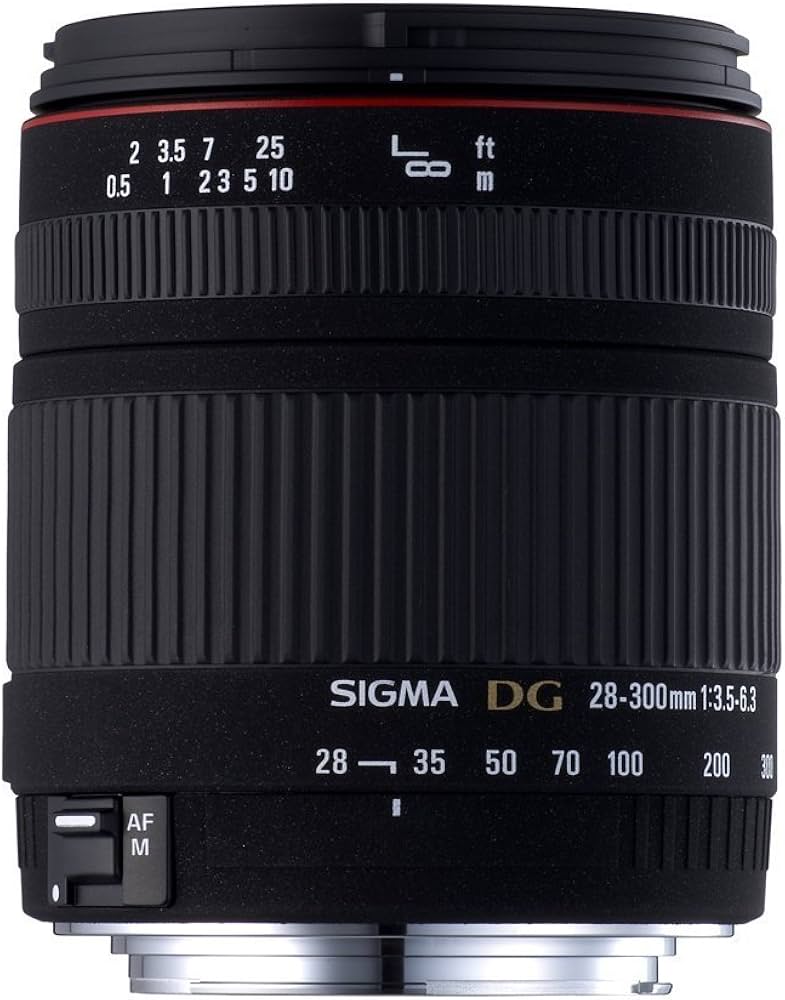 Amazon.co.jp: シグマ 28-300mm F3.5-6.3 DG MACRO キヤノン用 : 家電