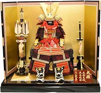 61+07iBZrNL._AC_UF350,