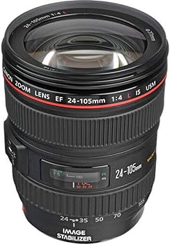 Amazon.co.jp: Canon EFレンズ EF24-105mm F4L IS USM ズームレンズ
