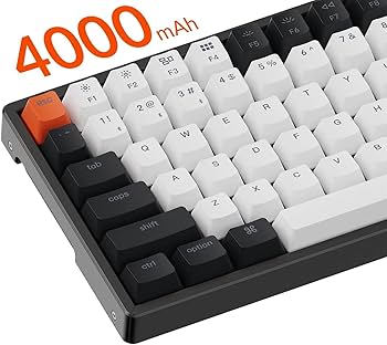 Amazon | 【国内正規品】Keychron K2 Version2 ホットスワップ対応