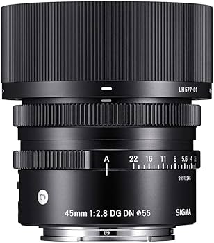 Amazon.com : Sigma 45 mm F2.8 DG DN for Sony E : Electronics