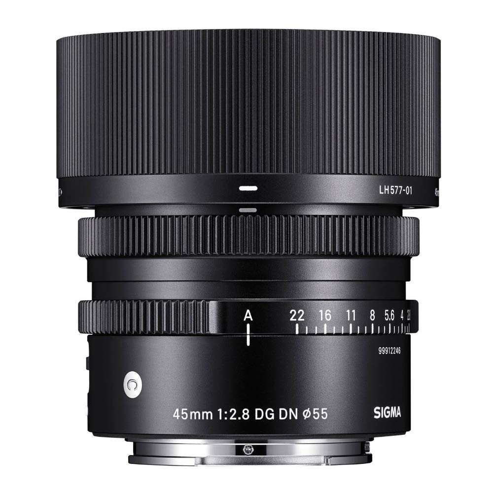 Amazon.com : Sigma 45 mm F2.8 DG DN for Sony E : Electronics