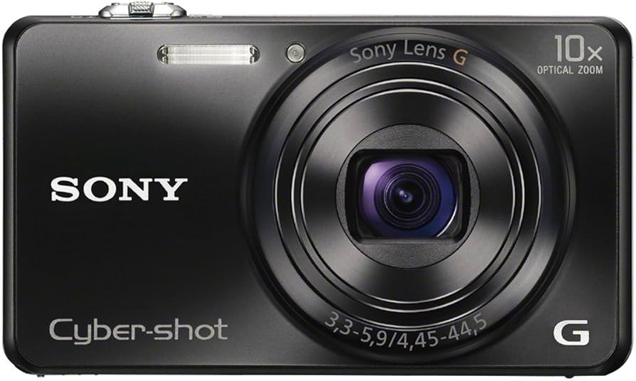 Amazon.com : Sony DSCWX200 Digital Compact Camera with Wi-Fi