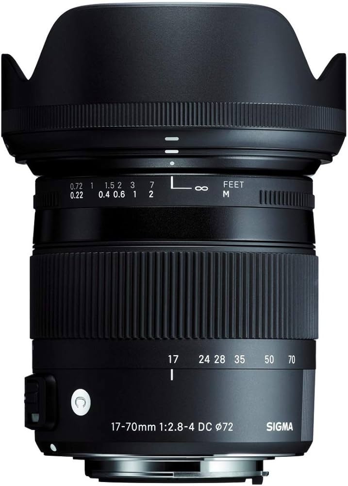 Amazon.co.jp: SIGMA 17-70mm F2.8-4 DC MACRO OS HSM | Contemporary