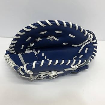 Amazon.co.jp: 横浜DeNA ベイスターズ キャッチャーミット