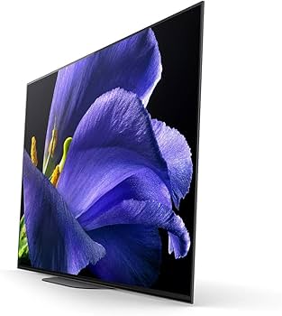 Amazon.co.jp: ソニー 55V型 有機EL テレビ ブラビア KJ-55A9G 4K