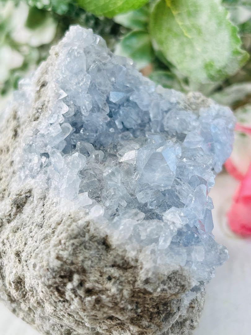 Amazon.co.jp: 天使の石セレスタイト 天青石 原石 ラフストーン 大 R