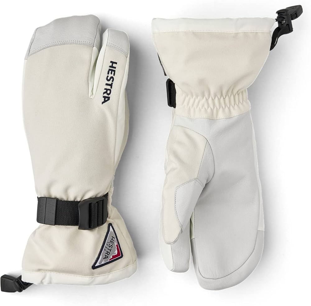 Amazon | Hestra ヘストラ スキー グローブ ＜2023＞ 31652/Powder