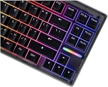 Amazon | Wooting 80HE US配列 Lekker V2 switches Rapid Trigger