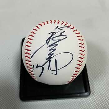 61-OeEjU6QS._AC_UF350,