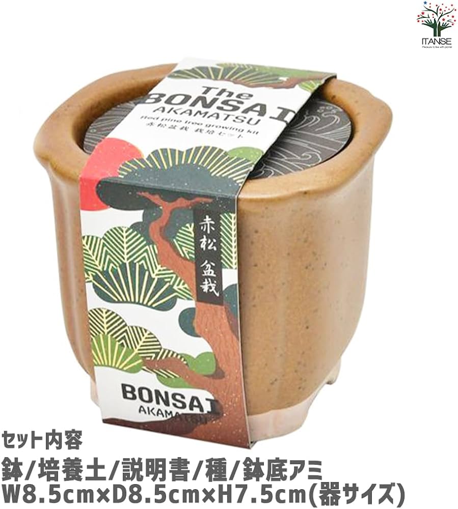 61-LuWL2YGL._AC_UF1000,