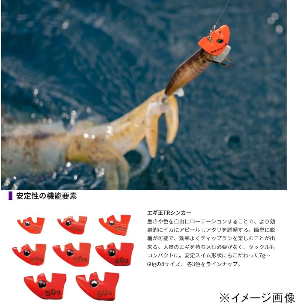Amazon | ヤマシタ(YAMASHITA) エギ王 TRシンカー 入門セット EOTRSNS