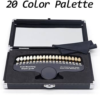 Amazon.co.jp: 歯科シェードガイドプロフェッショナル 3D R-20 歯の