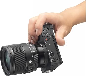 Amazon.com : 24mm F1.4 Art DG DN for Sony E Mount : Electronics