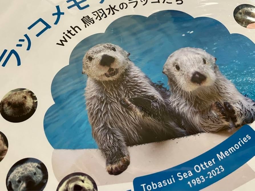 Amazon.co.jp: 鳥羽水族館 ラッコメモリアルBOOK with 鳥羽水のラッコ