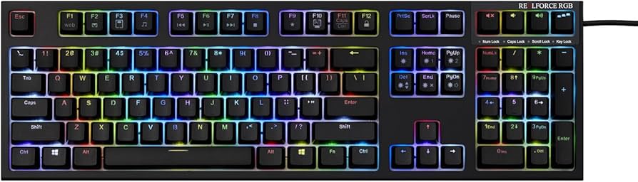 Amazon.co.jp: 東プレ REALFORCE RGB US 108キーUSB英語配列 1680万色