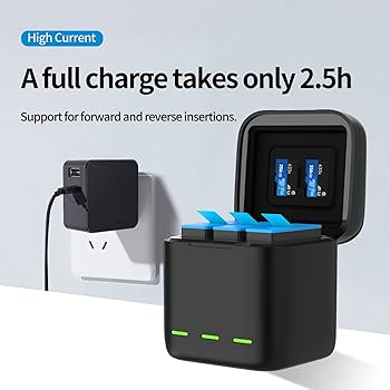 Amazon.com : Battery Charger for GoPro Hero 12 11 10 9 Black