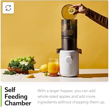 Amazon.com: Hurom H310A Renewed Personal, Self Feeding Slow