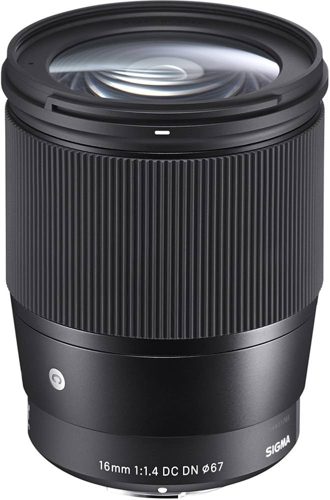 Amazon.com : SIGMA 16mm f/1.4 DC DN Contemporary Lens for Sony E