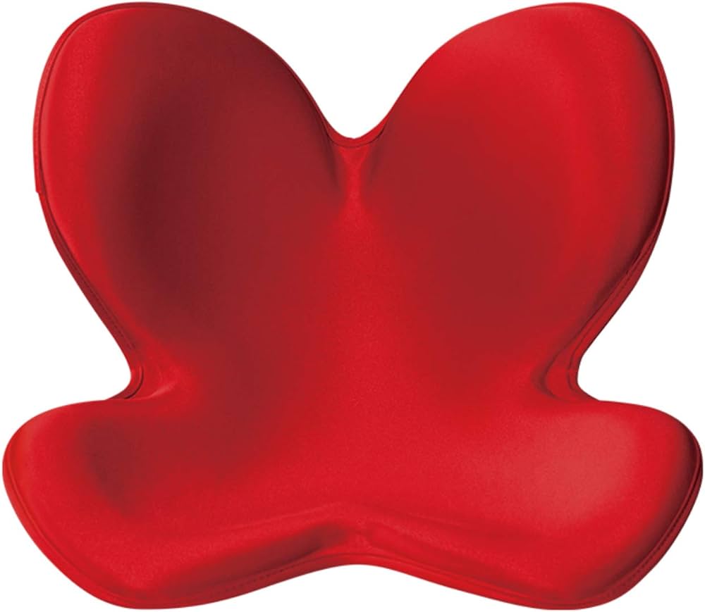 Amazon | MTG 骨盤サポートチェア Body Make Seat Style(ボディメイク