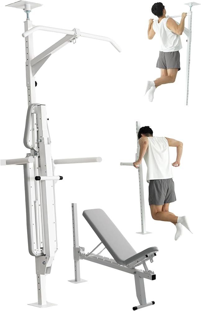 Amazon | 【NEW】TEDDY WORKS KENSUI kaku model1E ディップスベンチ